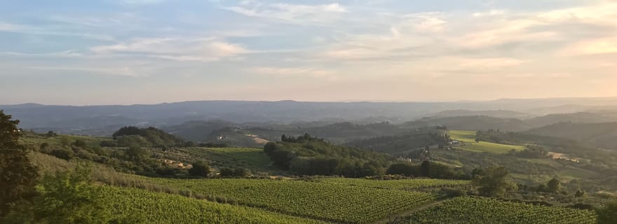 Florence : excursion privée d'une journée dans un domaine viticole du Chianti en Toscane avec déjeuner