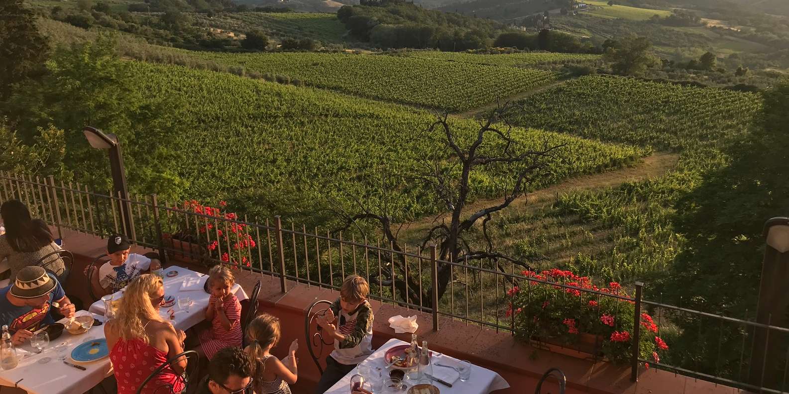 Florence: Tuscany Chianti Winery Private Day-Trip with Lunch