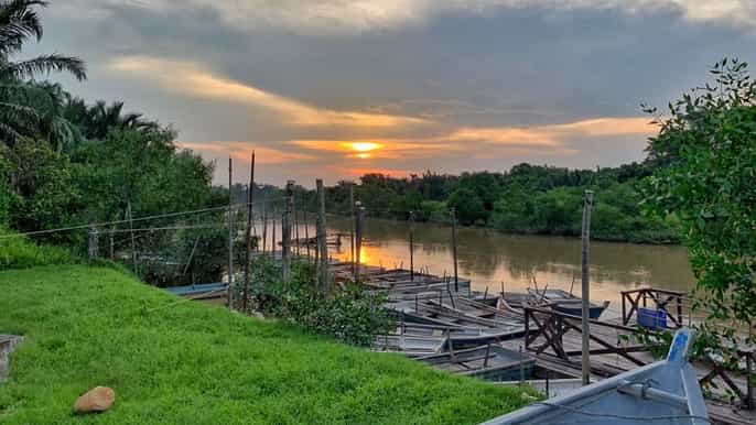ab kuala lumpur glühwürmchentour in kuala selangor