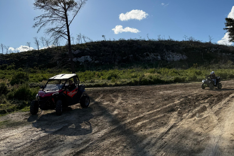 Athens Adventure Tour in Parnitha Mountain with 650cc ATVs Athens 3 Hours ATV Tour
