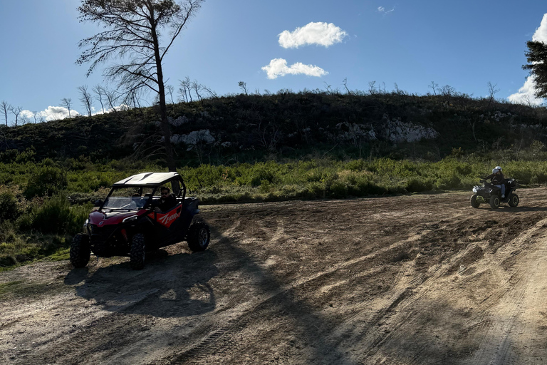 Athens Adventure Tour in Parnitha Mountain with 650cc ATVs Athens 3 Hours ATV Tour