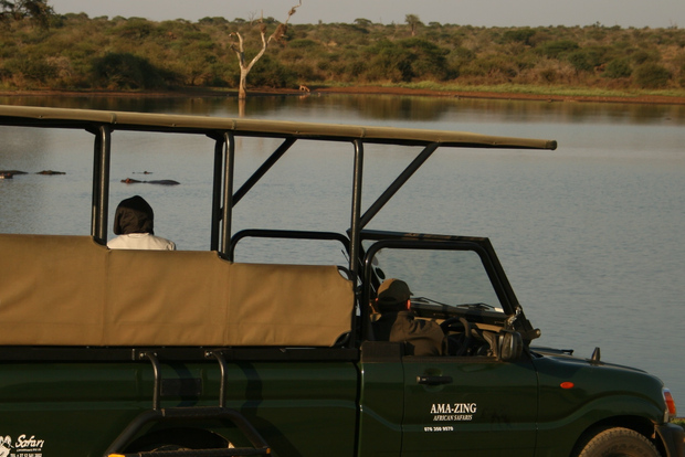 Kruger-Nationalpark: Halbtägige Safari-Tour, privat oder in der Gruppe