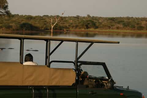 kruger national park halfday game drive
