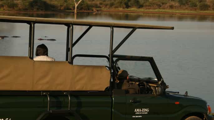 kruger national park halfday game drive