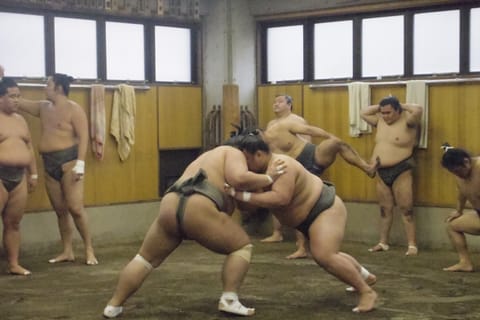 Tokyo: Sumo Morning Practice Viewing Tour