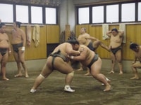 Tour de práctica matutina de Tokio, Sumo - Hizvo