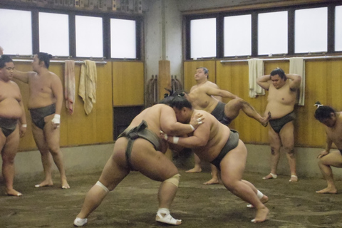 Tokio: Sumo-Morgen-TrainingsbesichtigungstourTokio: Besuch beim Morgentraining von Sumo-Ringern