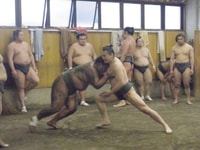 Tour de práctica matutina de Tokio, Sumo - Hizvo