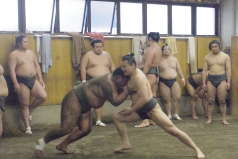 Tóquio: Excursão de visualização da prática matinal de sumôTour de sumô em Ryogoku