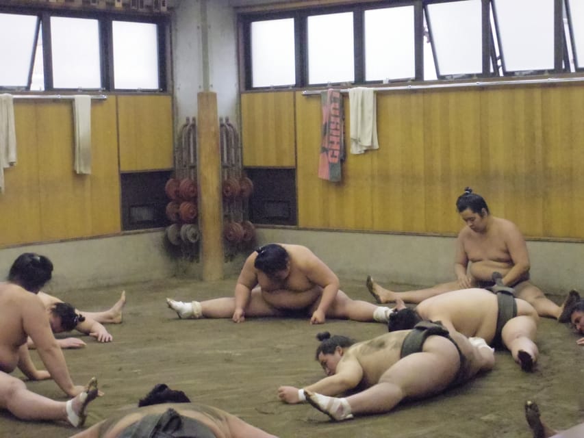 Tokyo, visite d'entraînement du matin de Sumo - Hizvo