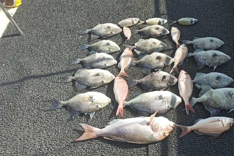 Athènes : Expérience de pêche sur un bateau avec repas de fruits de mer