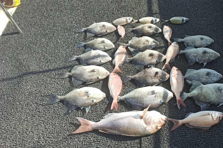 Atenas: Experiencia de pesca en barco con comida marinera