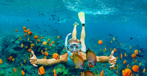 Cartagena: Snorkel, Mangroves and Playa Blanca Tour