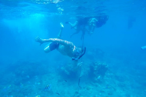 Cartagena: excursie snorkelen, mangroven en Playa Blanca