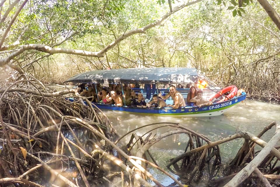 Cartagena Snorkel, Mangroves and Playa Blanca Tour GetYourGuide