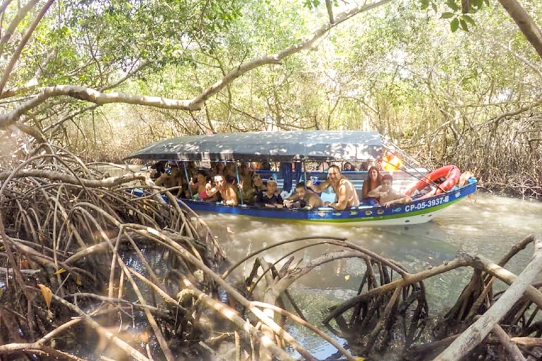 Carthagène: circuit de plongée avec tuba, mangroves et Playa Blanca