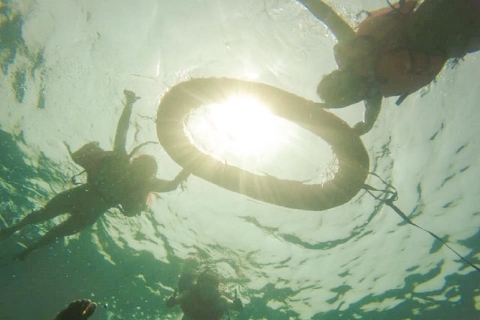 Carthagène: circuit de plongée avec tuba, mangroves et Playa Blanca