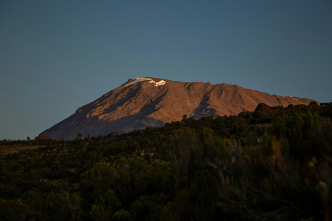 7 days Kilimanjaro Climbing Lemosho route package