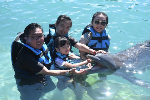 Dunn’s River Falls and Dolphin Cove Swim Adventure From Montego Bay/ Falmouth/ Trelawny