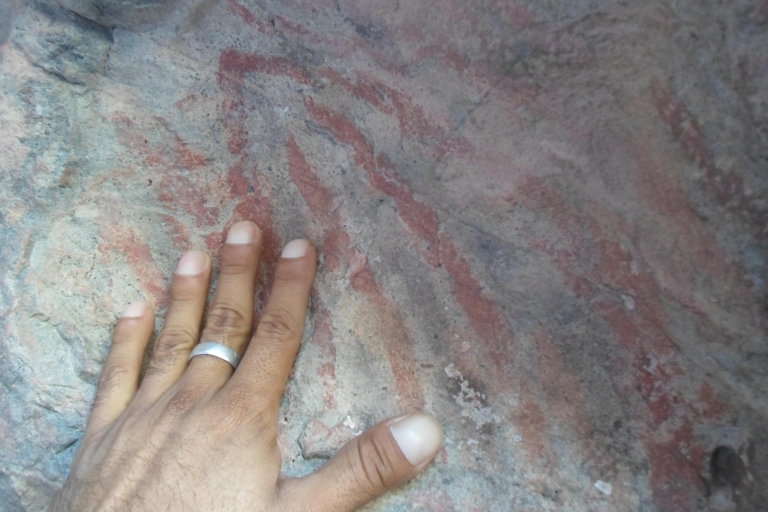 De Loreto: Randonnée guidée par la peinture rupestre du canipole