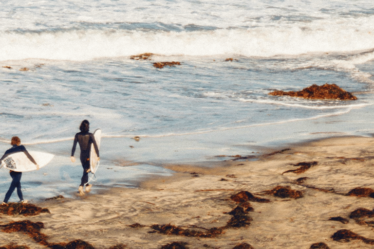 La Jolla : cours de surf d'une heure et demieLeçon de surf publique d'une heure et demie