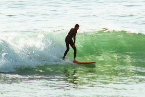 La Jolla: 1.5-Hour Surfing Lesson 1.5-Hour Public Surfing Lesson