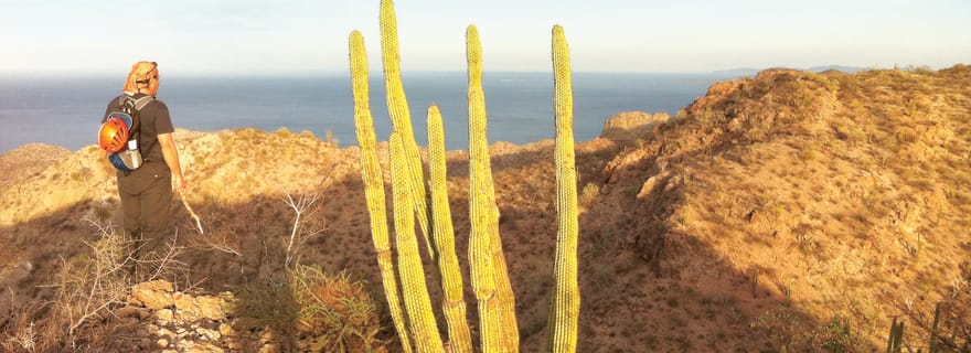 Depuis Loreto : Randonnée guidée dans le canyon de Tabor