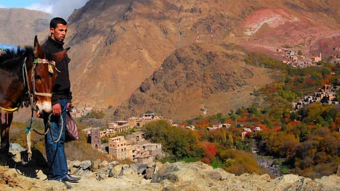 from marrakech fullday atlas mountain berber tour