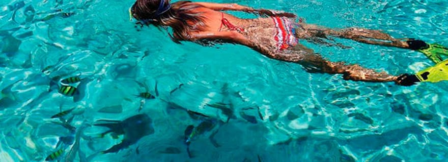 Au départ de Loreto : Croisière en catamaran avec plongée en apnée