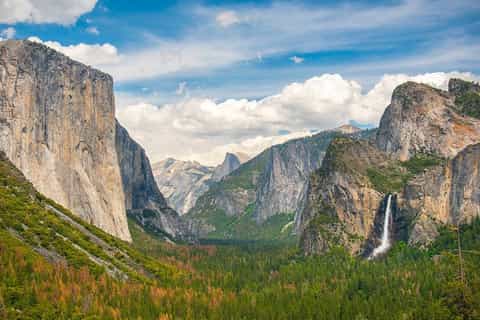 Yosemite: National Park Full-Day Trip in Biofuel Vehicle
