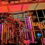 Accademia delle Scienze della California Ingresso alla vita notturna del giovedì