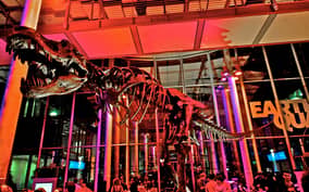 California Academy of Sciences Thursday NightLife Admission