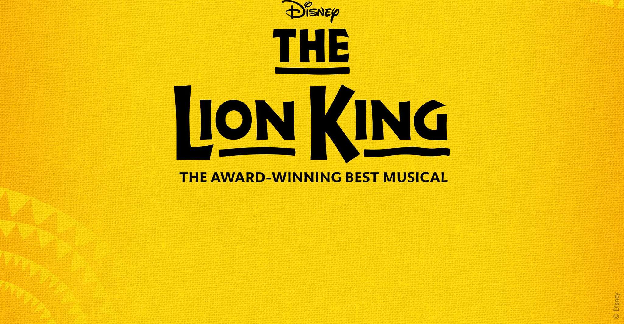 NYC: The Lion King on Broadway