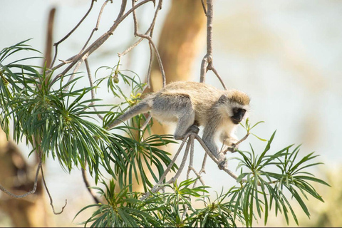 Nairobi: Crescent Island Sanctuary Day Trip with Lunch Nairobi: Crescent Island Sanctuary private day Trip