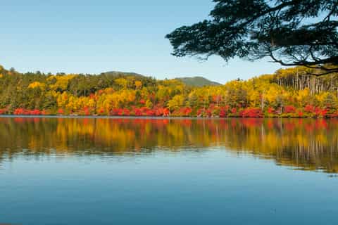 Nagano Guided Day Tour: Snow Monkeys, Zenko-ji, Obuse