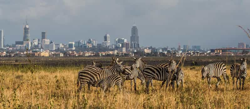 Visita Guiada De Medio Día Al Parque Nacional De Nairobi Con Recogida