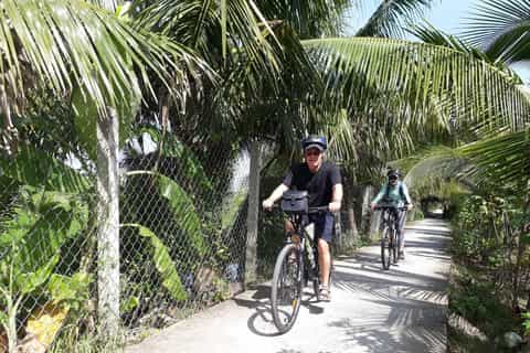 Ho Chi Minh City: Mekong Delta Small Group Day Tour by Bike