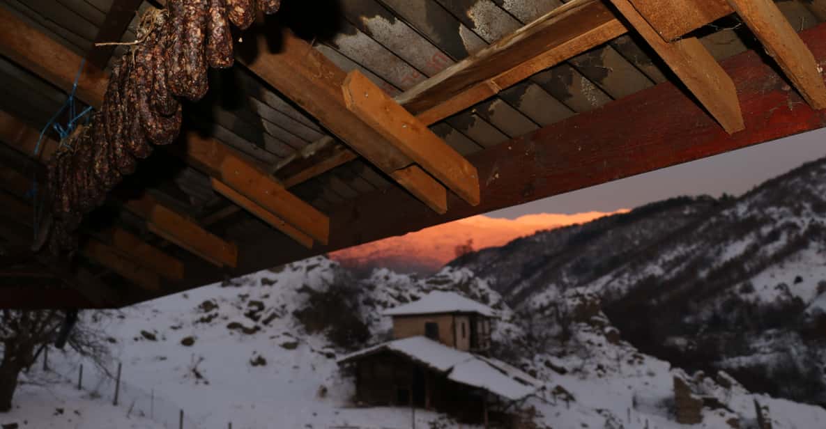 Bansko: Rare Bulgarian Pets Experience