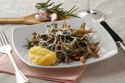 Gardasee: Abendessen im Hause eines italienischen Gastgebers