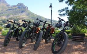 Stellenbosch: Countryside Banhoek valley E-Bike Wine Tour