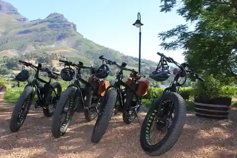 Stellenbosch: Passeio de E-Bike pelo campo no vale de Banhoek