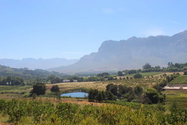 Stellenbosch Banhoek Valley EBike Wine Tour GetYourGuide
