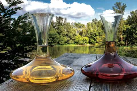 Amboise: Caves Duhard Visit and Wine Tasting
