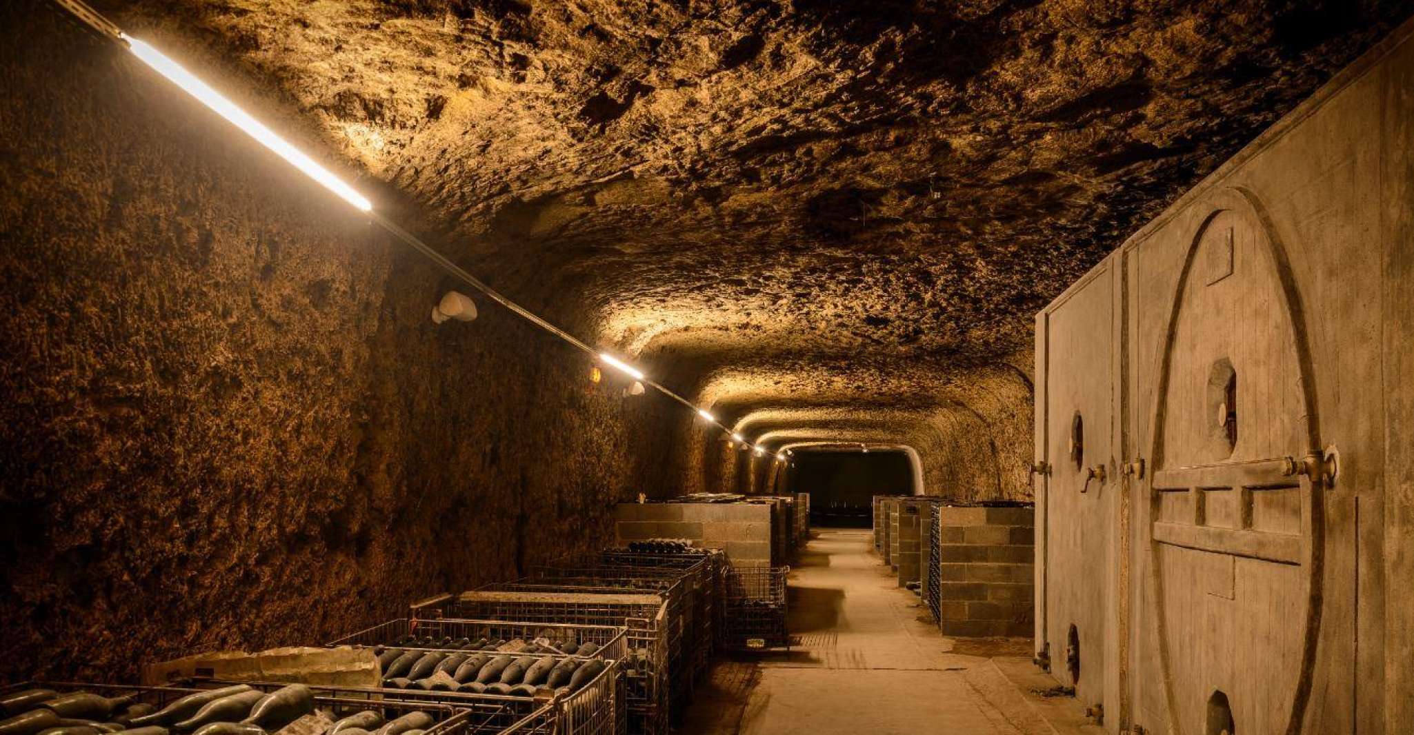 Amboise, Caves Ambacia Visit and Wine Tasting - Housity