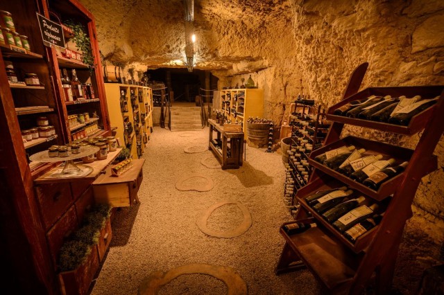 Visit Amboise Caves Ambacia Visit and Wine Tasting in Tours