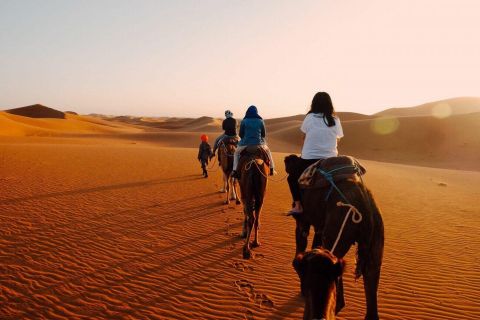 From Fes: Private 2-day Sahara Desert Tour