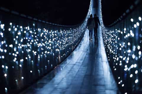 vancouver canyon lights festival ticket