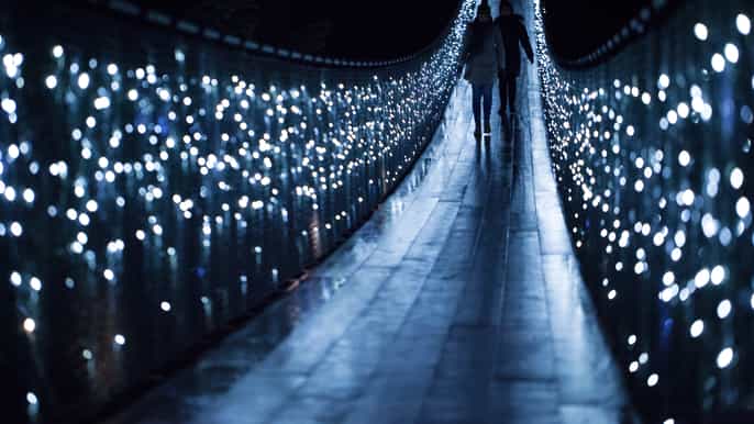 vancouver canyon lights festival ticket