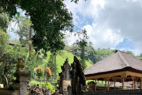 Ubud, Monkey forest, Riceterace Waterfall, Purification Ubud Tour Include Enterance Tickets