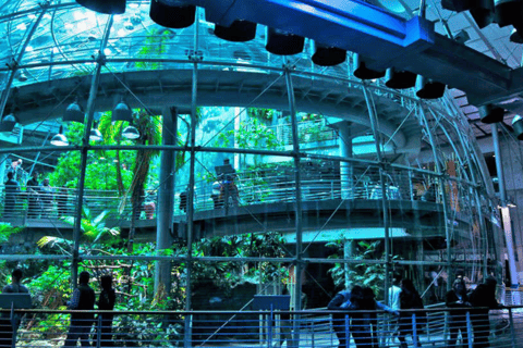 Toegang tot de California Academy of Sciences Thursday NightLifeToegang tot het nachtleven van de California Academy of Sciences